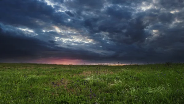 Stormy landscape