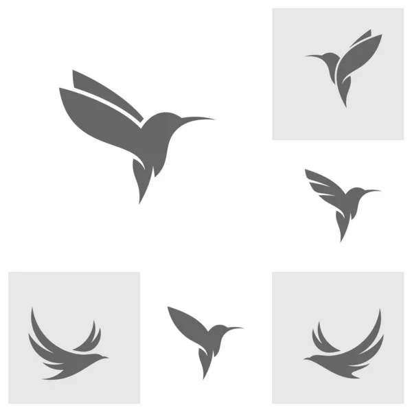 Conjunto Plantilla Vector Diseño Logotipo Colibrí Logotipo Pájaro Para Negocios — Archivo Imágenes Vectoriales