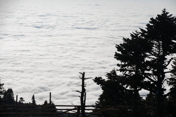 Nubes Centros Turísticos Invierno Bajo Pico Montaña Bajo Nieve — Foto de Stock