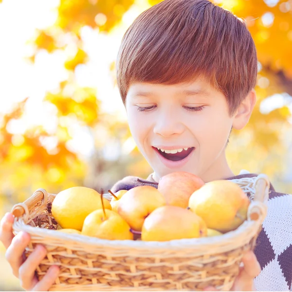 Niño feliz con frutas en la cesta —  Fotos de Stock