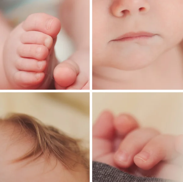 Fotoğrafları kolaj bir