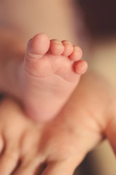 婴儿脚 — 图库照片