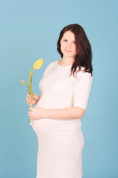 Pregnant woman holding tulip — Stock Photo, Image