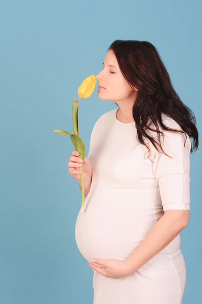 Těhotná žena hospodářství Tulipán — Stockfoto