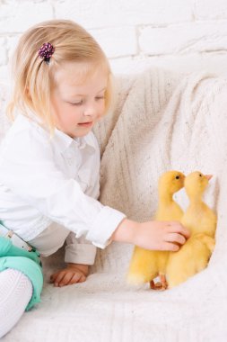 ördek yavrusu ile oturan kız