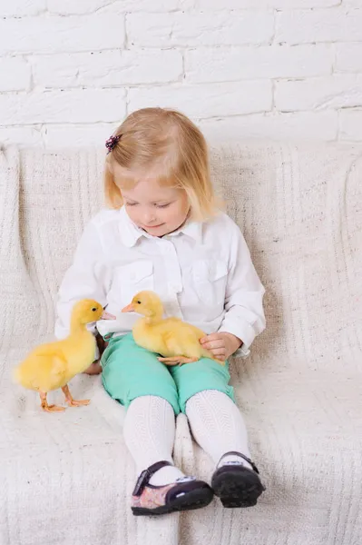 女孩坐在一起小鸭 — 图库照片