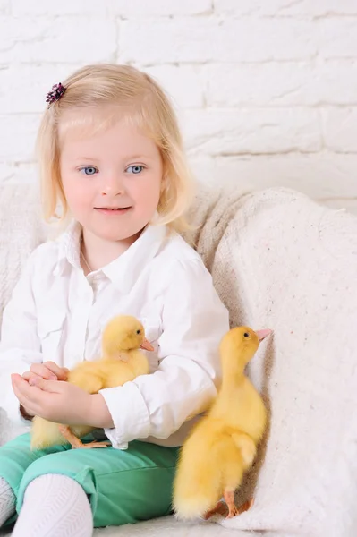 Menina sentada com patinhos — Fotografia de Stock