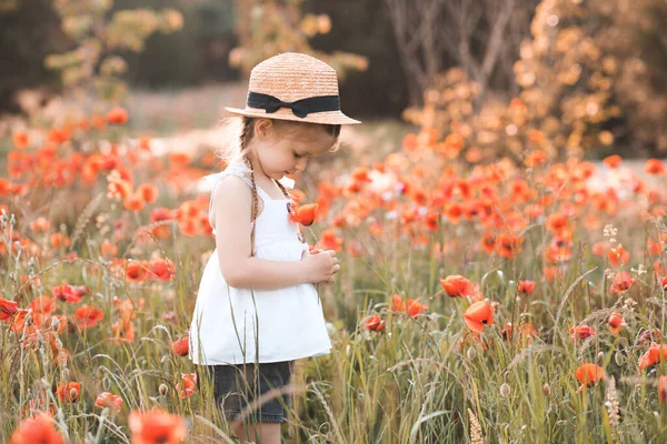 Roztomilé Dítě Dívka Let Vyzvednout Květinu Makové Louce Venku Nad — Stock fotografie