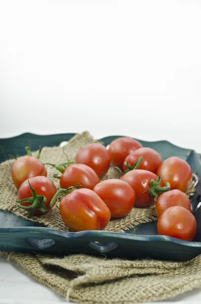 Ramo de tomates —  Fotos de Stock