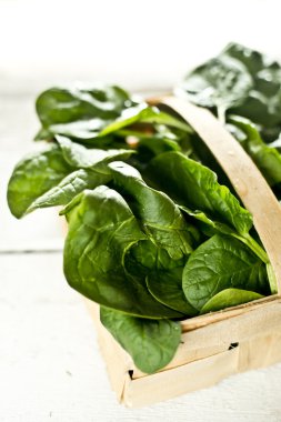 taze ıspanak yaprakları