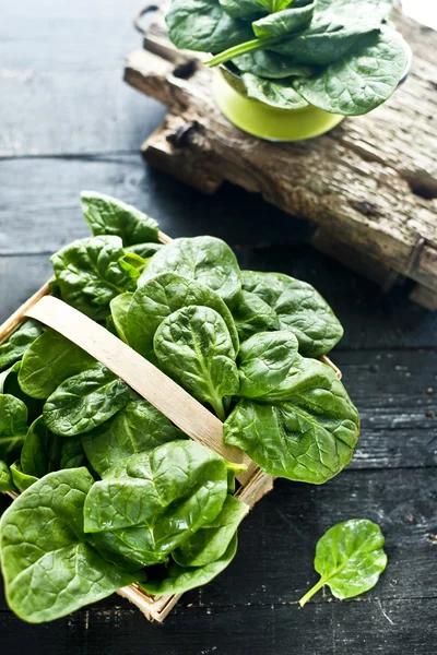 taze ıspanak yaprakları