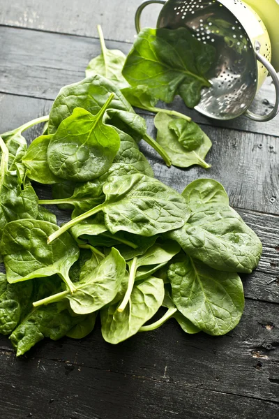 Frische Spinatblätter — Stockfoto