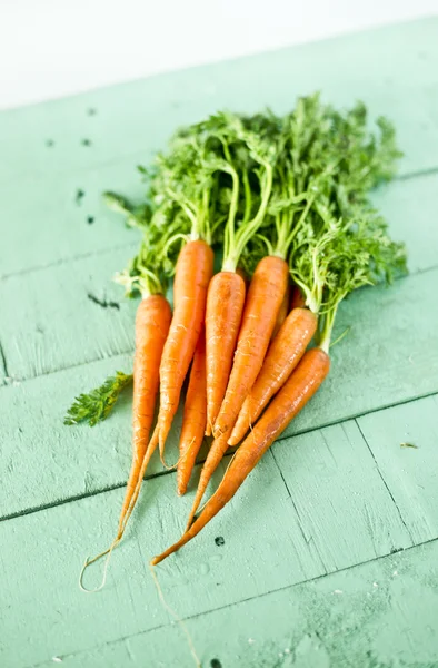 Zanahorias jóvenes —  Fotos de Stock
