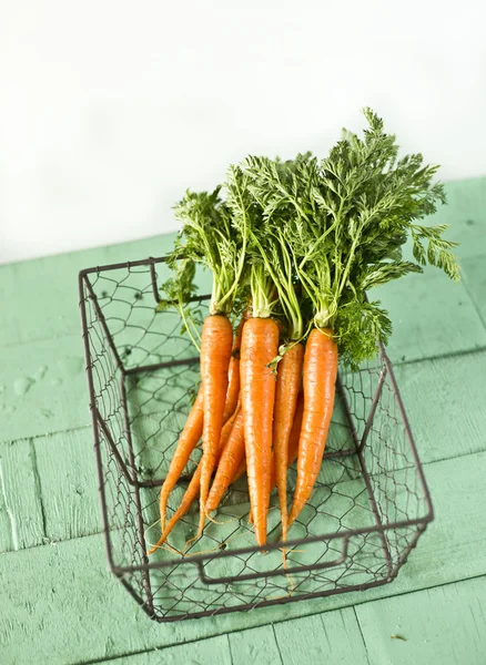 Zanahorias jóvenes —  Fotos de Stock