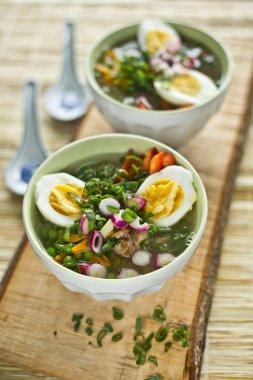 rode en gele kust houten huizen in Noorwegen met meeuwen nesten op daken