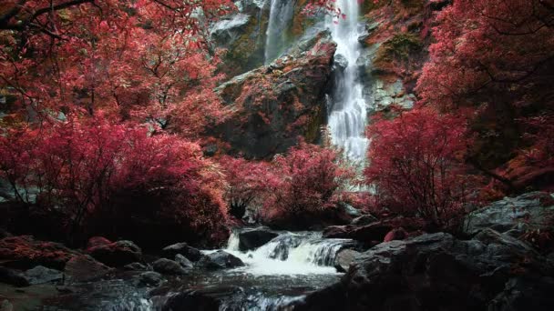 Piękny Wodospad Lesie Parku Narodowego Khlong Lan Waterfall Tajlandia Kamphaeng — Wideo stockowe