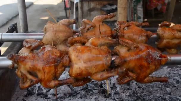 Grillhähnchenbrötchen mit. — Stockvideo