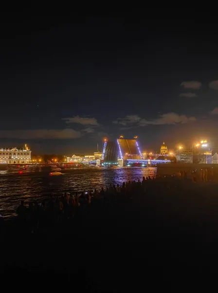 Night Bridge Breeding City Petersburg Cultural Capital Russia — Stock Photo, Image