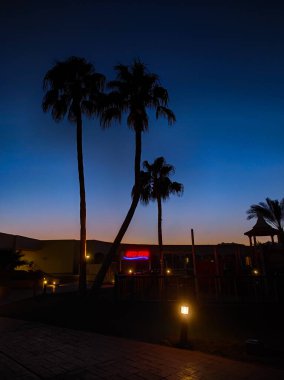 Sharm el Sheikh, Mısır 'daki palmiye ağaçları ve binalar. Alt manzara. Afrika 'nın yapısı ve doğası.