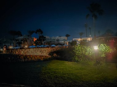 Sharm el Sheikh, Mısır 'daki palmiye ağaçları ve binalar. Alt manzara. Afrika 'nın yapısı ve doğası.