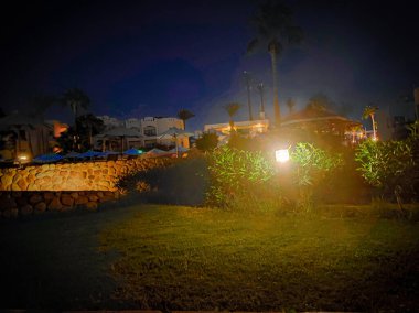 Sharm el Sheikh, Mısır 'daki palmiye ağaçları ve binalar. Alt manzara. Afrika 'nın yapısı ve doğası.