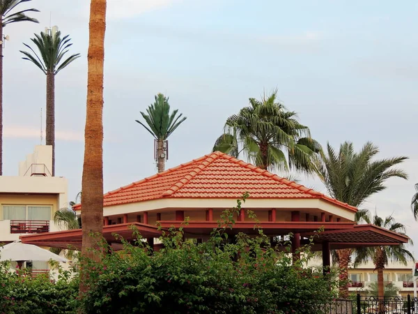 Pálmafák Épületek Sharm Sheikh Egyiptom Lényegében Afrika Struktúrái Jellege — Stock Fotó