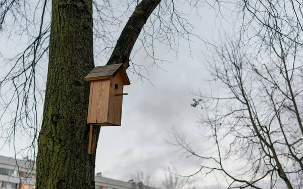 Vogelhaus Aus Holz Für Vögel Auf Baum Gesetzt — Stockfoto