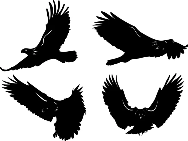Flying eagles Stock Vector