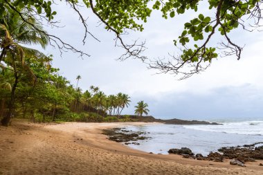 Brezilya 'nın kuzeydoğu kıyısındaki tropikal kumsalda bulutlu gökyüzü