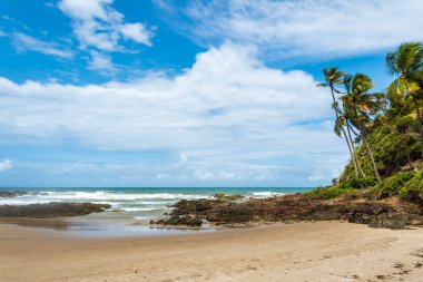 Brezilya 'nın kuzeydoğu kıyısındaki kumlu sahilde kayalar