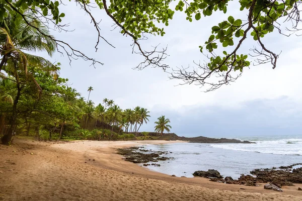 Brezilya 'nın kuzeydoğu kıyısındaki tropikal kumsalda bulutlu gökyüzü