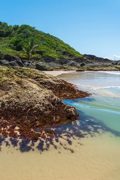 Natural Pool Transparent Water Formed Rocks Sea Northeast Coast Brazil — Stock Photo, Image