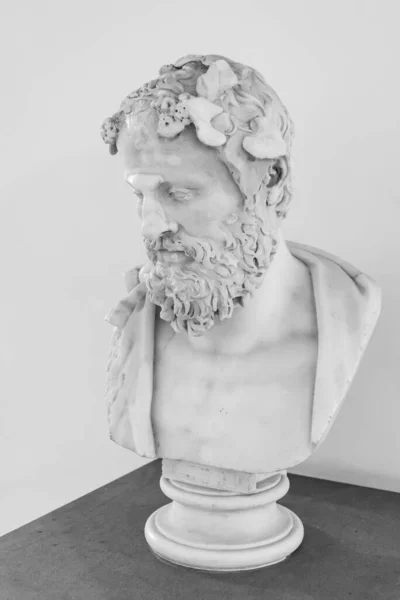 Ασπρόμαυρη Φωτογραφία Από Αρχαία Μαρμάρινη Προτομή Ώριμου Γενειοφόρου Άνδρα — Φωτογραφία Αρχείου