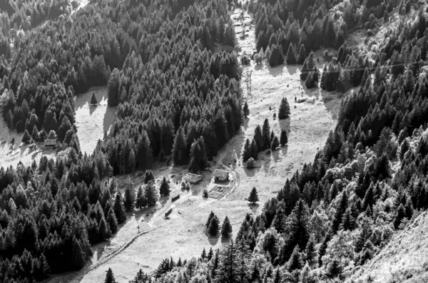 上から山の谷の眺め 針葉樹林 牧草地の家 小屋の近くのパスは モノクロームの山の風景の中に電力線 ベクターイラスト — ストックベクタ