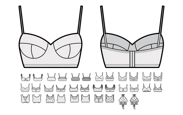 Bra lingerie technical fashion illustration with full adjustable shoulder straps, molded cups, hook-and-eye closure. — Stock Vector