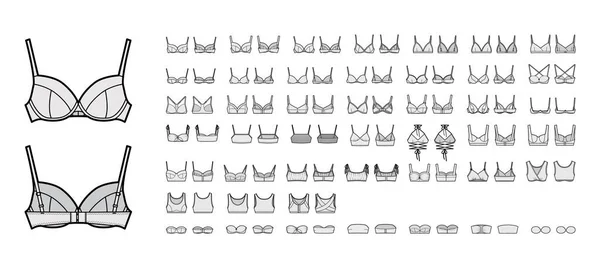Bra lencería técnica moda ilustración con correas de hombro ajustables completos, copas moldeadas, cierre de gancho y ojo. — Archivo Imágenes Vectoriales