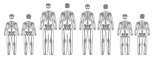 Conjunto Disfraz Esqueleto Huesos Humanos Con Scull Vista Trasera Delantera — Archivo Imágenes Vectoriales