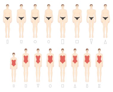 Set of Women Men body shape types. Male and Female Vector illustration in cartoon style in underwear 9 head size Gentlemen and lady figure front view. Vector outline boy and girl for fashion sketching