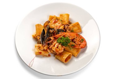 Deniz mahsullü Paccheri makarnası, domates soslu tipik İtalyan makarnası, midye, midye, mürekkep balığı ve beyaz tabakta maydanozlu karides.