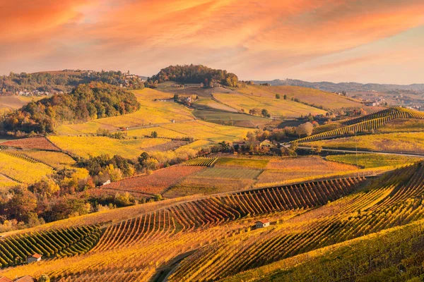 Paisagem Nas Colinas Área Barolo Langhe Itália Com Belas Vinhas — Fotografia de Stock