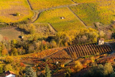 Barolo tepeleri, Langhe, İtalya, manzara di Nebbiolo üzüm bağları güzel sonbahar renkleriyle