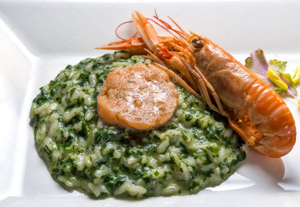 Herb risotto with langoustine close up. In white dish