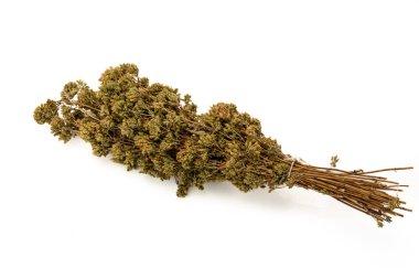 Bir grup kuru kekik Güney İtalya mutfağının beyaz, tipik aromatik otuna ve pizza için izole edilmiş.