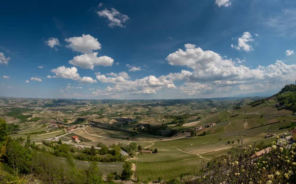 Paisagem Nas Colinas Com Vinhas Langhe Piemonte Itália Vista Ponto — Fotografia de Stock