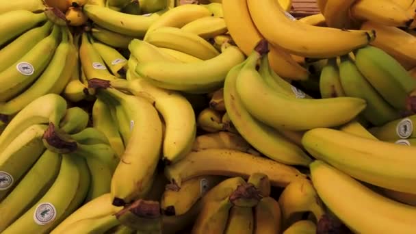 Fossano Italy July 2022 Counter Bananas Supermarket Panning Bunches Yellow — Stock Video