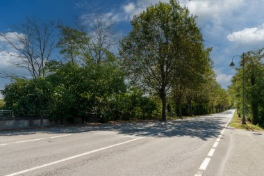 Asphalt road with white lines, paved driveway between green trees with blue sky and white clouds, transportation concept
