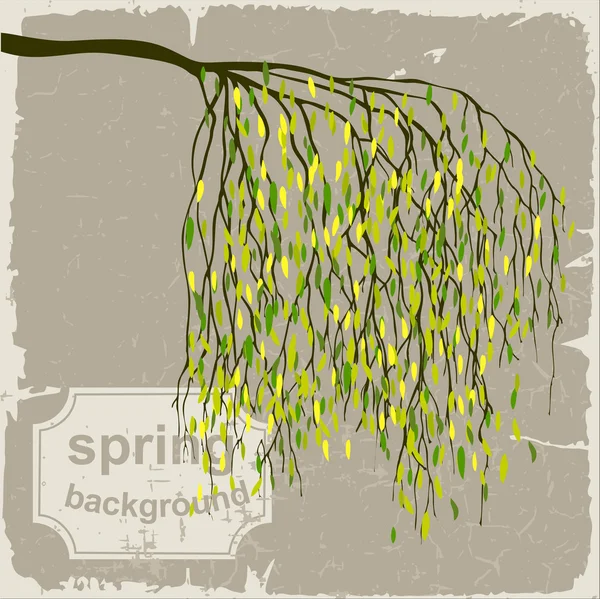 Весняний фон з зеленим листом, березові гілки . — стоковий вектор