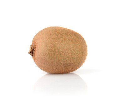 Tek kivi üzerinde beyaz izole