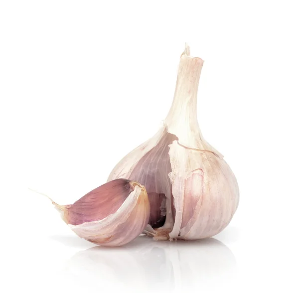 Knoblauch isoliert auf weiß — Stockfoto