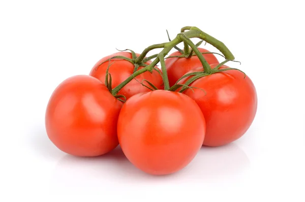 Bunch of red tomatoes isolated on white — Stock Photo, Image